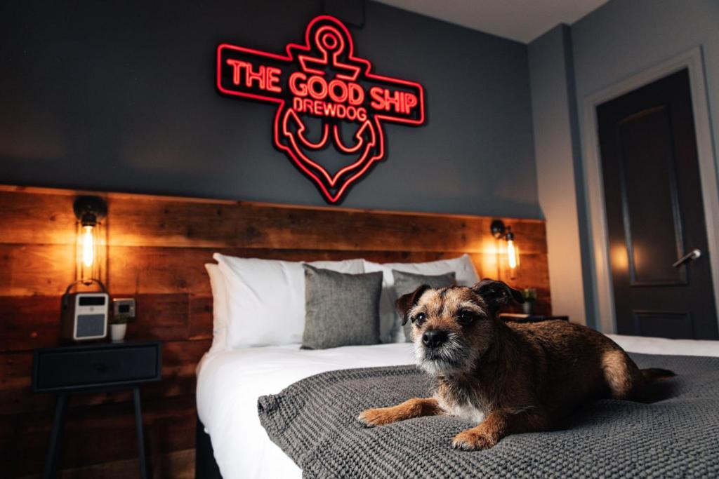 Brewdog Kennels - Aberdeen Dış mekan fotoğraf